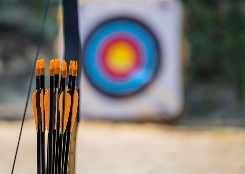 Archery bows and a target