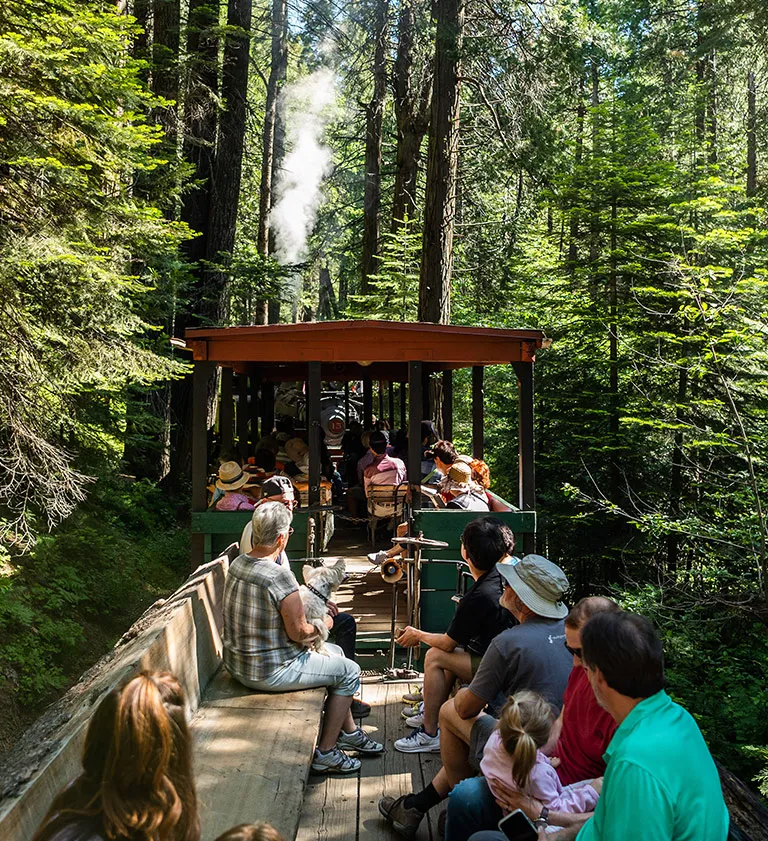 Ride a Vintage Logging Steam Train 1