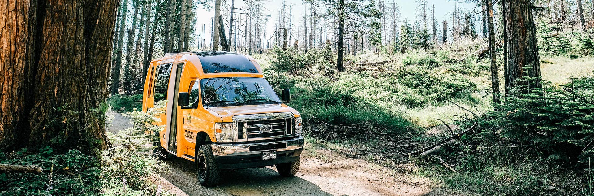 Yosemite 360 Tour van driving through forest.