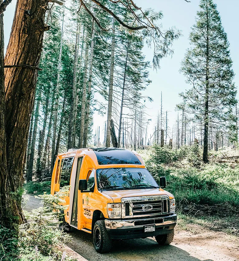 yosemite grand tour bus