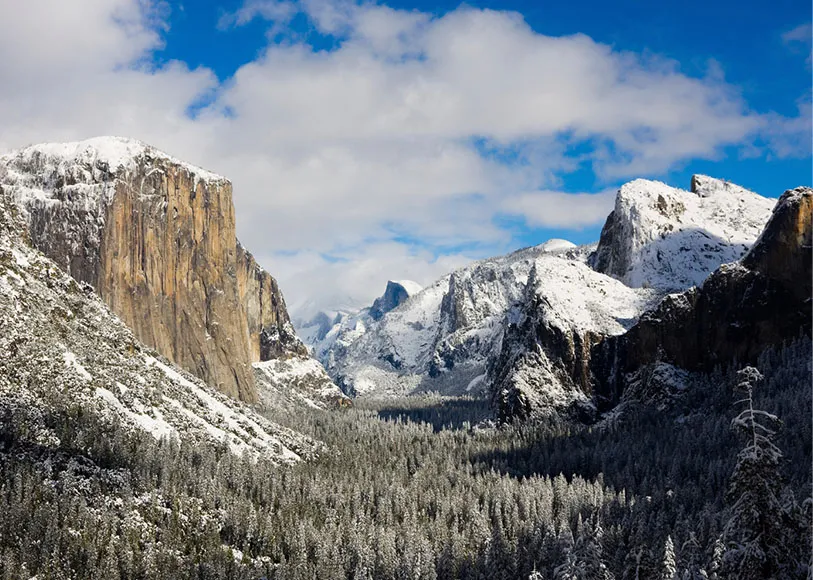 globus tours yosemite