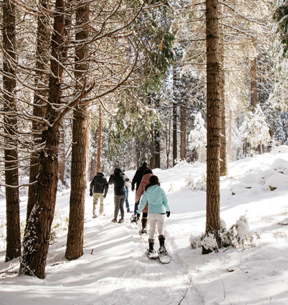 A group of Tenaya at Yosemite visitors on a winter nature walk