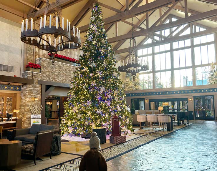 An enormous Christmas Tree illuminated for the holiday season at Tenaya at Yosemite