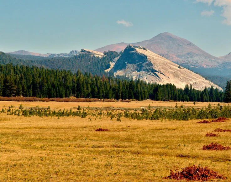 Tuolumne Meadows in Yosemite National Park