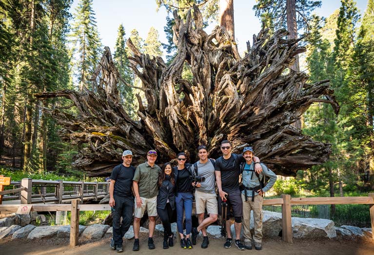 The Fallen Monarch at the Mariposa Grove in Yosemite National Park