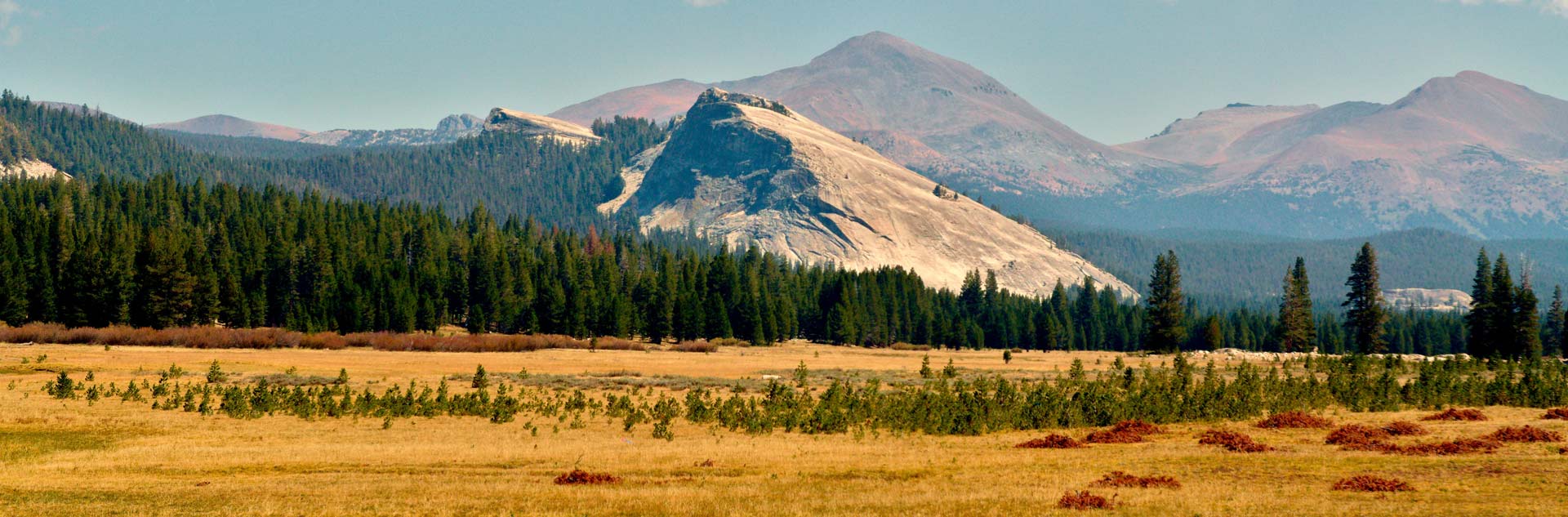 Tuolomne Meadows in Yosemite National Park