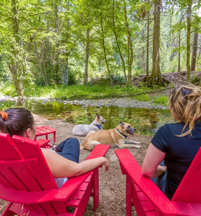 Dog-Friendly Lodging - Tenaya at Yosemite
