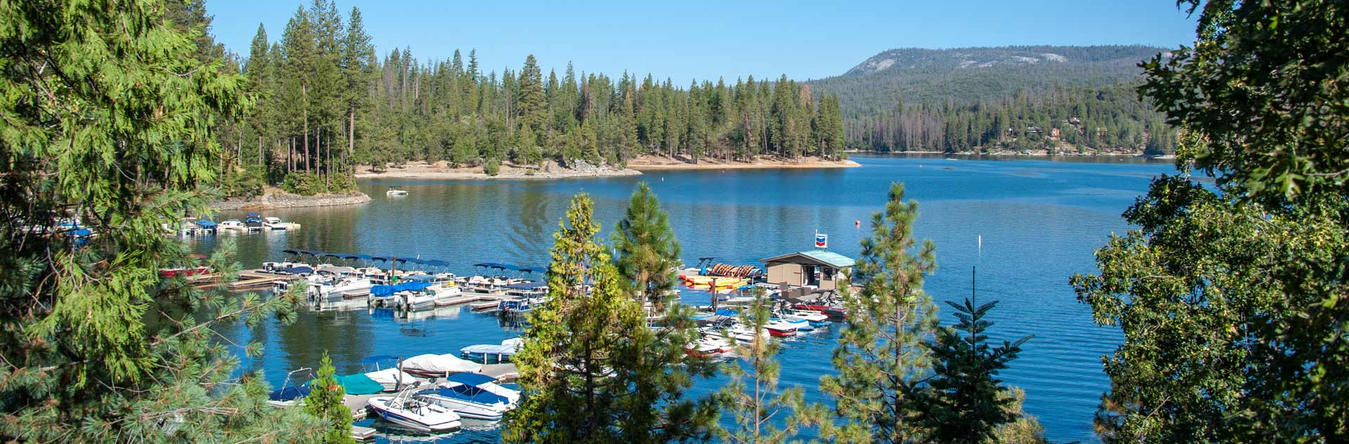 Bass Lake boat rentals at Miller's Landing