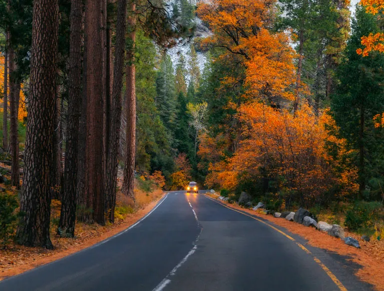 Itineraries 7 A car driving down a fall roadway near Yosemite National Park