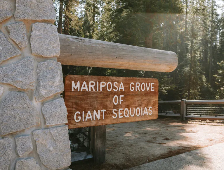 Mariposa Grove 2 The entrance to the Mariposa Grove of Giant Sequoias in Yosemite National Park