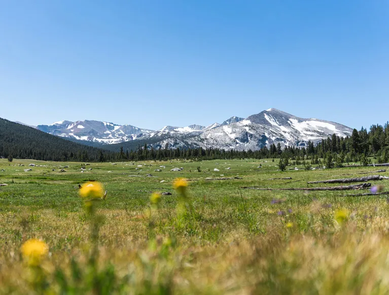 Itineraries 5 A mountain meadow in Yosemite National Park