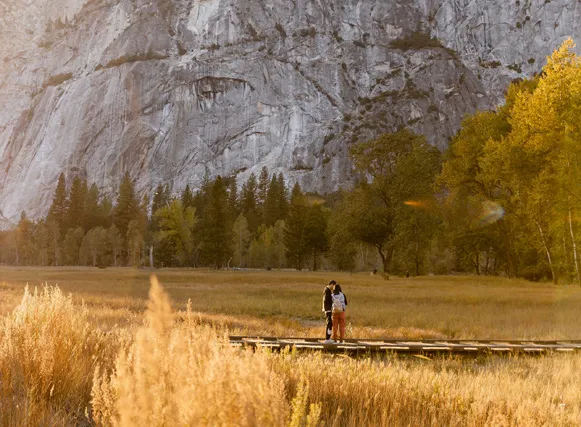 Specials / Packages 12 Yosemite visitors exploring a fall meadow