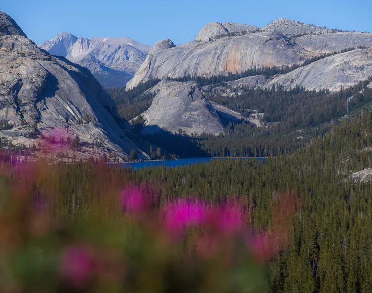 Tuolumne Meadows in Yosemite National Park