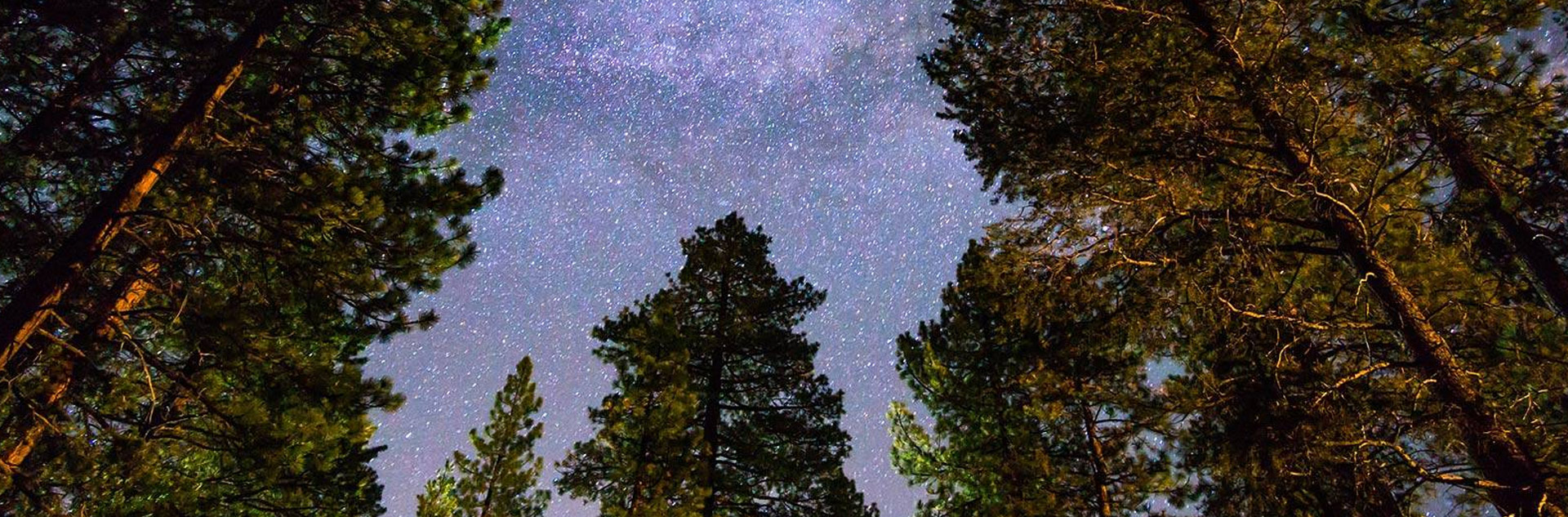 GUIDED SNOWSHOE FLASHLIGHT HIKE 1920