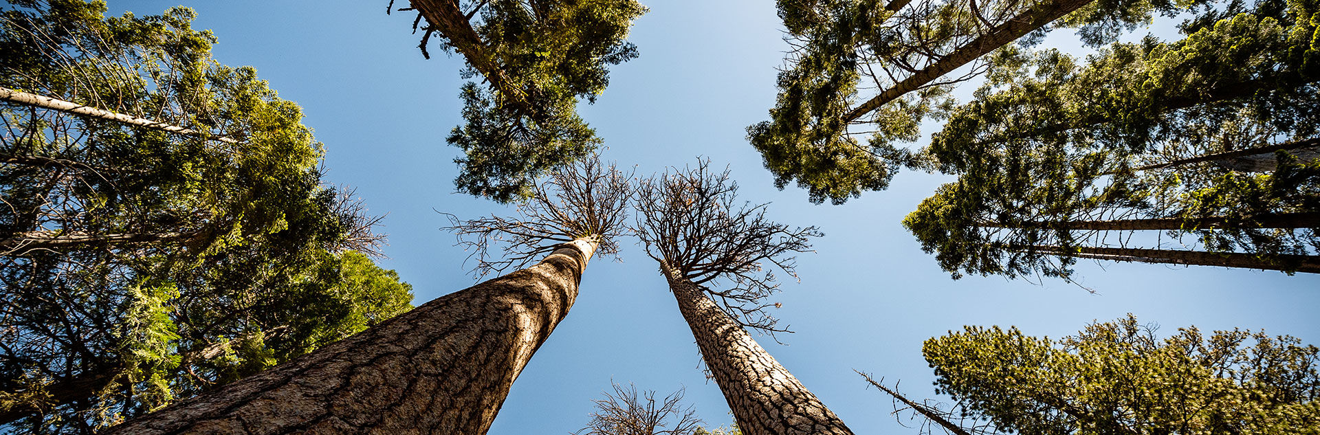 Email Sign Up 1 signup hero 1920