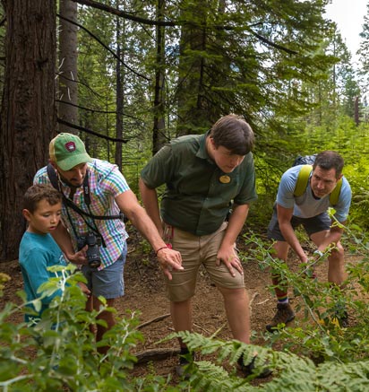 A group of guests on a guided nature walk at Tenaya at Yosemite