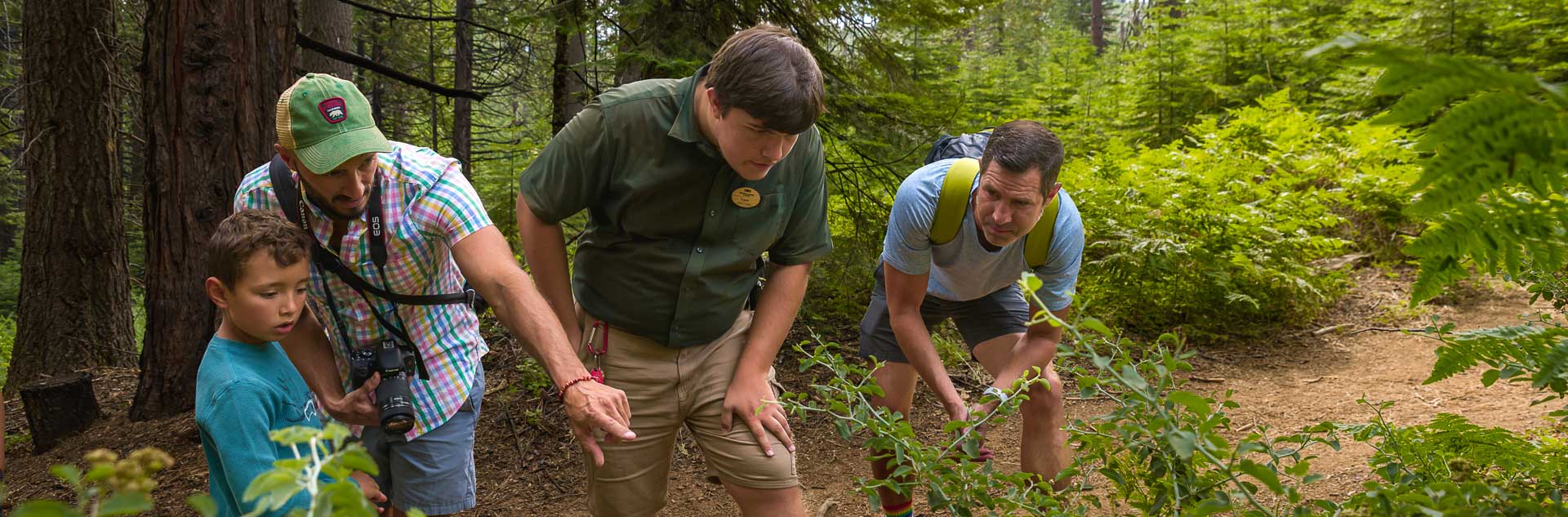 A group of guests on a guided nature walk at Tenaya at Yosemite