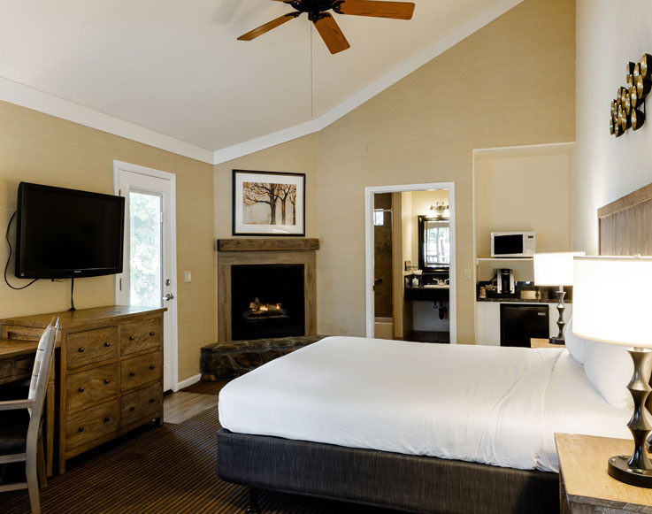 Special Accommodations 2 Image of the inside of the cottage room