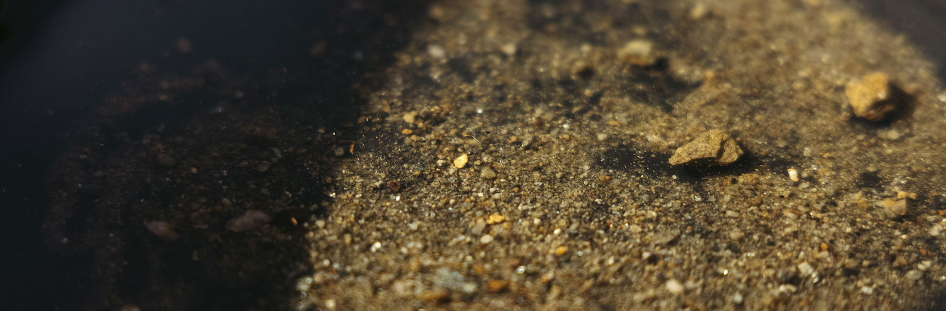 Panning for gold