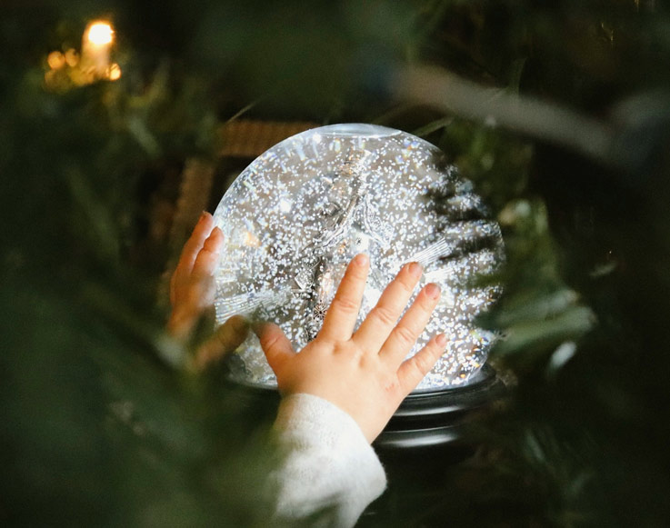 Upcoming Events 2 Snow Globe workshops at Tenaya at Yosemite