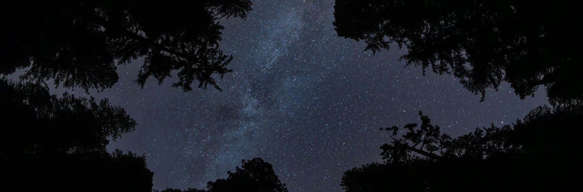 A starry night sky over Tenaya at Yosemite