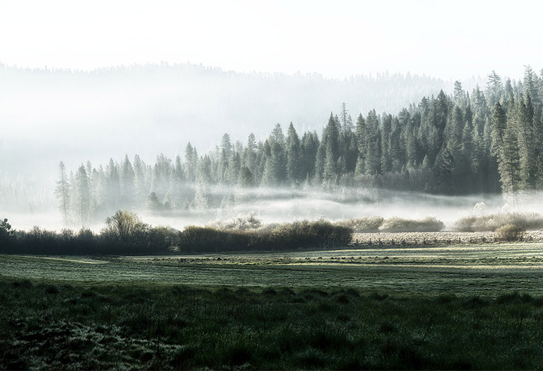 Wawona Meadow in Yosemite National Park