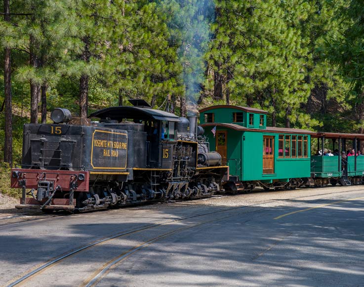 The Yosemite Mountain Sugar Pine Railroad