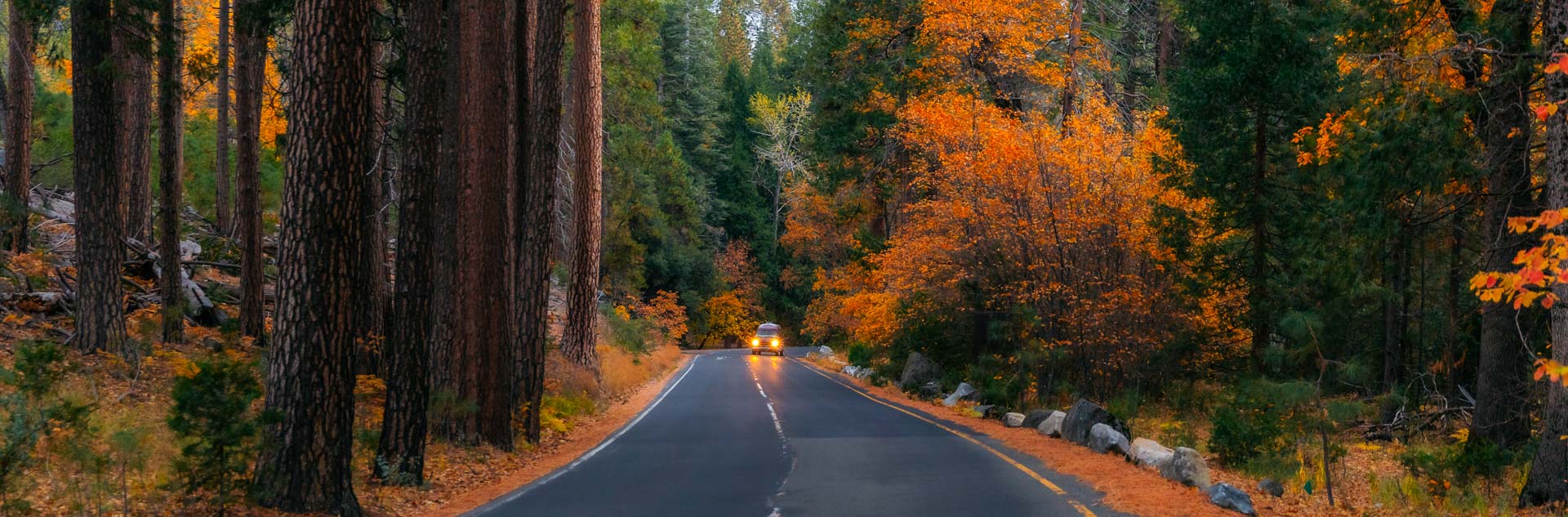 A car driving down a fall roadway in Yosemite National Park