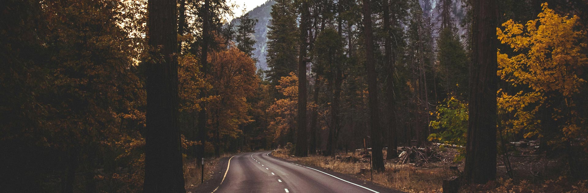 A fall roadway near Yosemite National Park