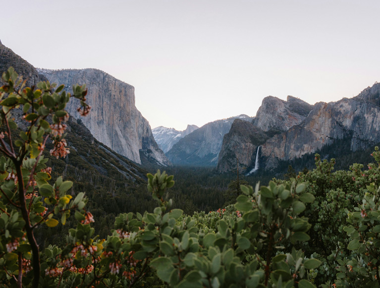 A morning view of Yosemite Valley