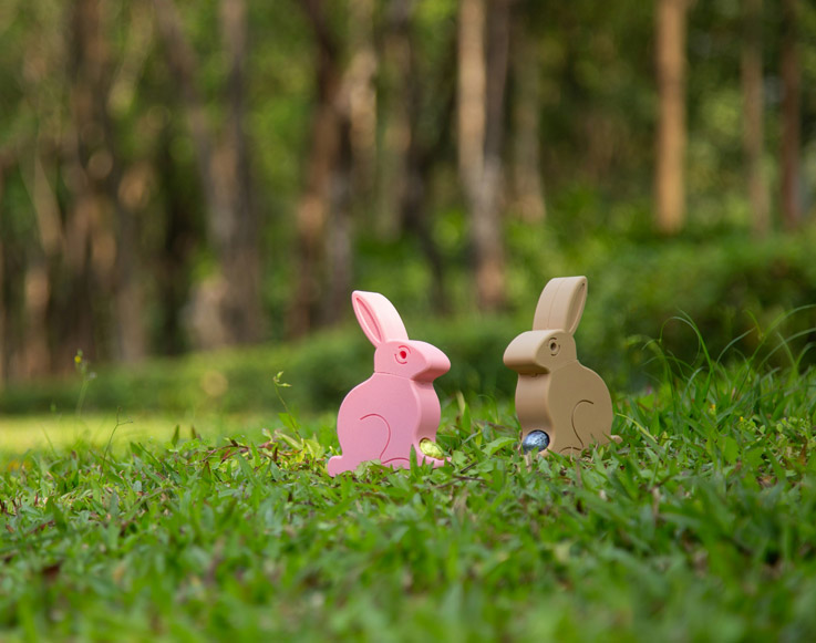 Two toy rabbits on the grass