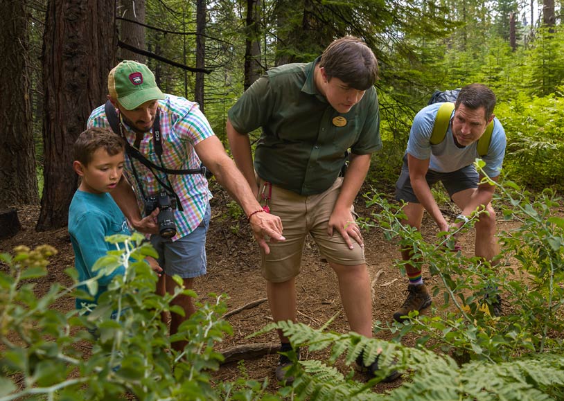 A group of Tenaya at Yosemite guests on a guided nature hike